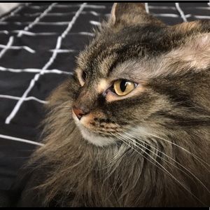 Meet your Posher, Mina kupniewski